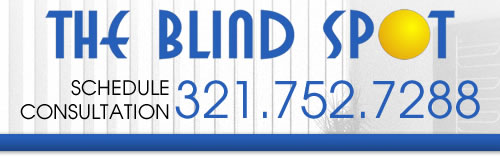 The Blind Spot