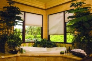 Outdoor resorts window treatments